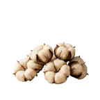 Baumwolle Bollen 7er-Set