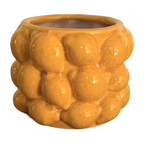 Zitrone
