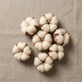 Baumwolle Bollen, sieben Bollen flach auf Leinen