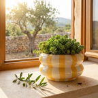 Topf Marlon in Gelb/Weiß, Lifestyle auf Fensterbank mit Sedum